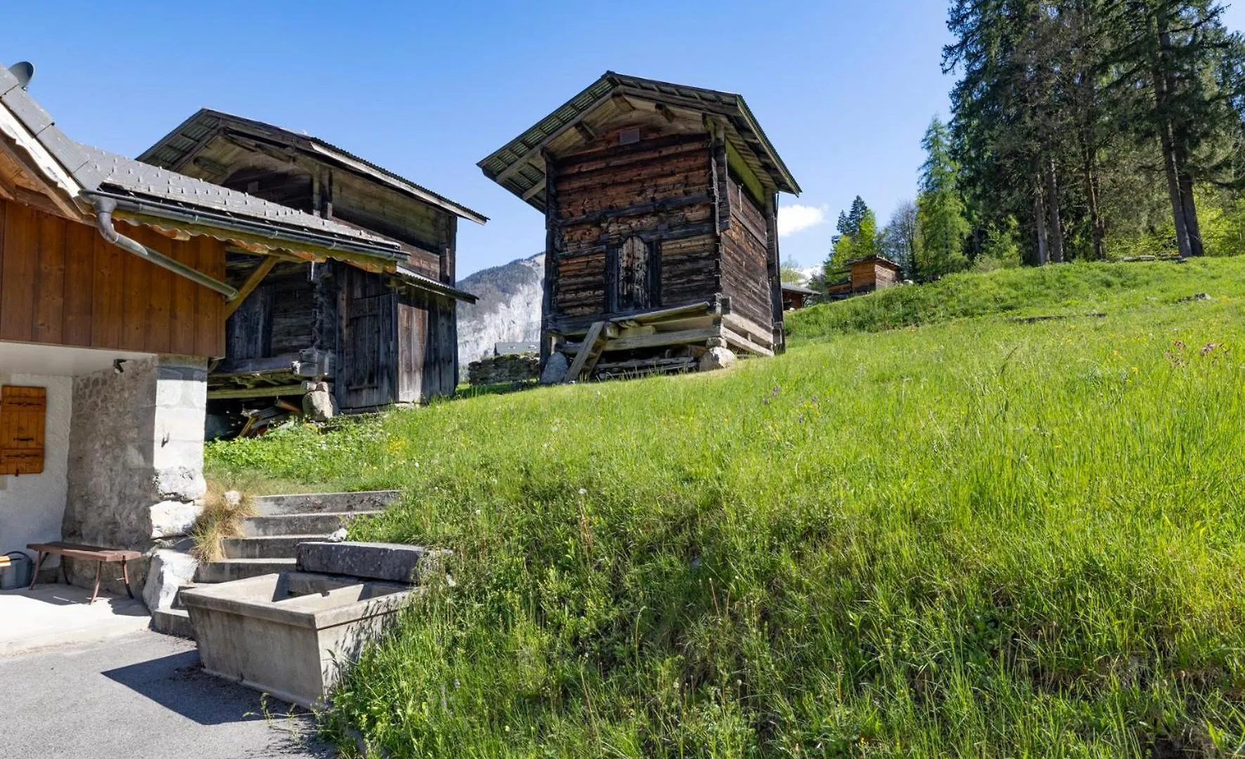 Les Salamanes - Chalet 6-7 Pers Sixt-Fer-a-Cheval France